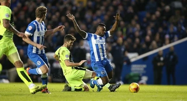 Intense Sky Bet Championship Clash: Brighton and Hove Albion vs. Huddersfield Town (23rd January 2016)
