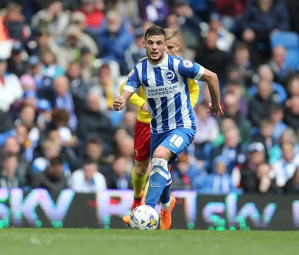 Jake Forster-Caskey in Action: Brighton & Hove Albion vs. Watford, American Express Community Stadium (25 April 2015)
