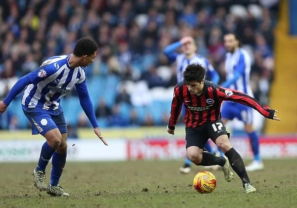 Joao Carlos Teixeira in Action: Championship Showdown between Sheffield Wednesday and Brighton & Hove Albion (14FEB15)