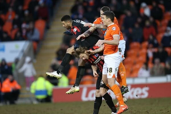 Leon Best in Action: Blackpool vs. Brighton & Hove Albion, Sky Bet Championship (31st January 2015)