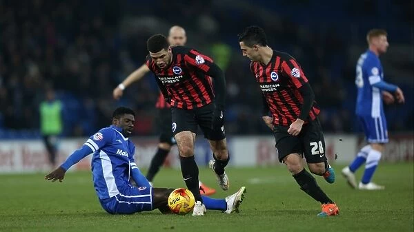 Leon Best in Action: Cardiff City vs. Brighton and Hove Albion, Sky Bet Championship 2015