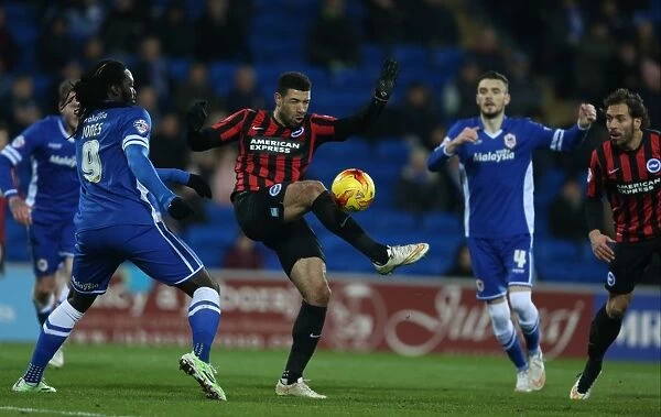 Leon Best in Action: Cardiff City vs. Brighton & Hove Albion, Sky Bet Championship 2015