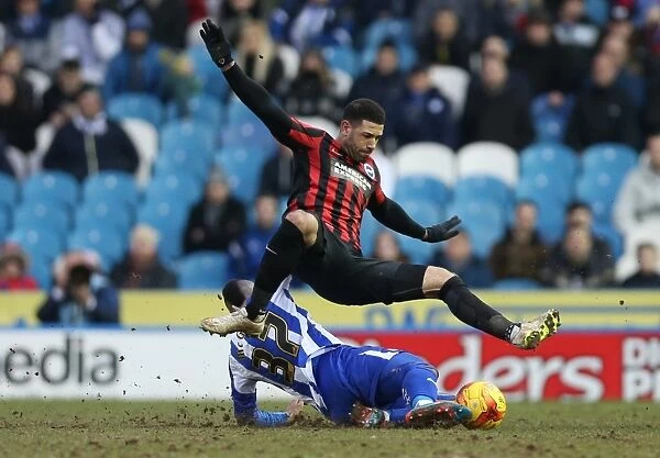 Leon Best in Action: Championship Showdown between Sheffield Wednesday and Brighton & Hove Albion (14FEB15)
