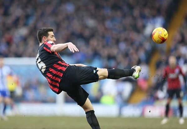 Lewis Dunk in Action: Sheffield Wednesday vs. Brighton and Hove Albion, Championship Clash at Hillsborough (14FEB15)