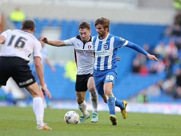 Paddy McCourt in Action: Brighton & Hove Albion vs Rotherham United at American Express Community Stadium, October 2014