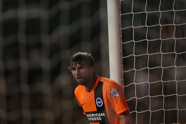 Paddy McCourt in Action: Tottenham vs. Brighton and Hove Albion in the Capital One Cup