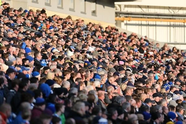 Passionate Moment: Brighton and Hove Albion Fans Cheering at the American Express Community Stadium vs. Wolverhampton Wanderers (14MAR15)