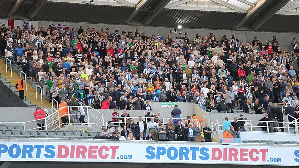 Premier League Showdown: Newcastle United vs. Brighton and Hove Albion at St. James Park (21SEP19)