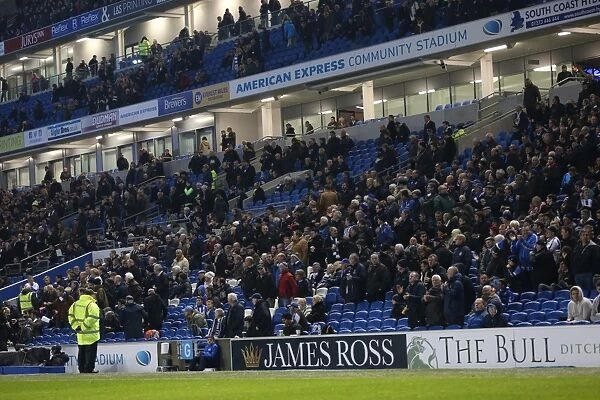 The Roaring Albion Fan: Brighton and Hove vs. Wigan Athletic, American Express Community Stadium, 2014