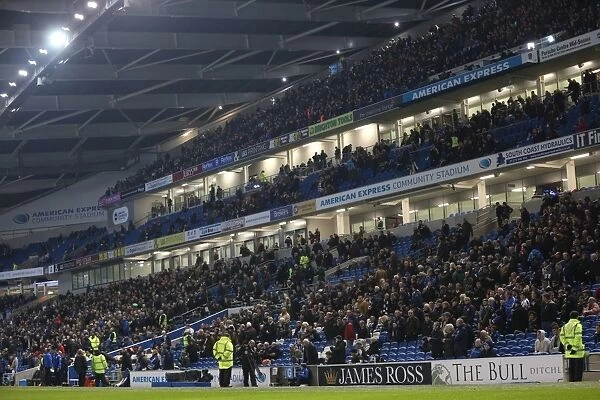 The Roaring Albion Fan: Brighton and Hove vs Wigan Athletic, American Express Community Stadium, 2014