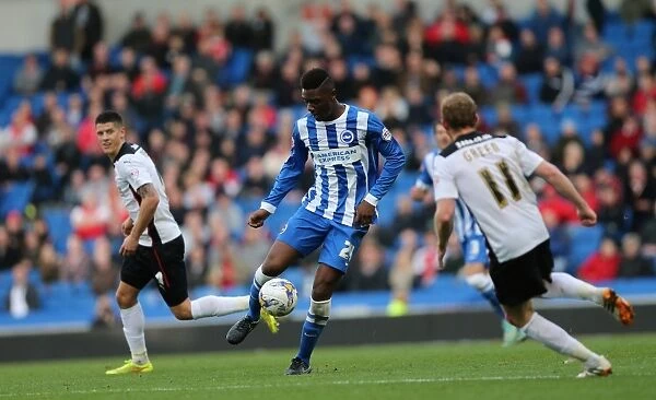 Rohan Ince in Action: Brighton and Hove Albion vs Rotherham United at American Express Community Stadium, October 2014