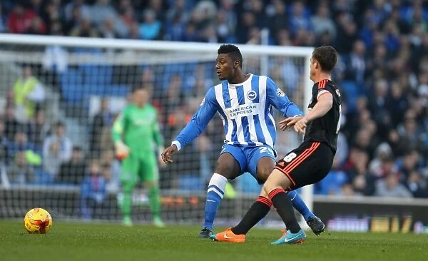 Rohan Ince in Action: Brighton & Hove Albion vs Fulham, American Express Community Stadium (29 November 2014)