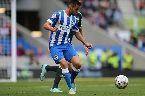 Sam Baldock in Action: Brighton and Hove Albion vs. Middlesbrough, October 18, 2014