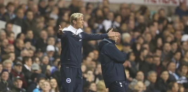 Sami Hyypia Leads Brighton and Hove Albion in Capital One Cup Clash against Tottenham Hotspur (October 2014)