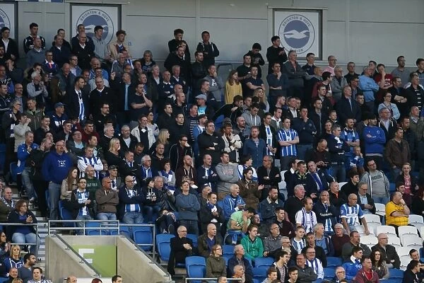 Sea of Colors: Brighton and Hove Albion Fans in Full Force (14APR15)
