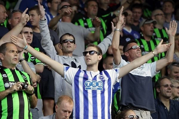 Sea of Supporters: Brighton and Hove Albion Away Days 2011-12