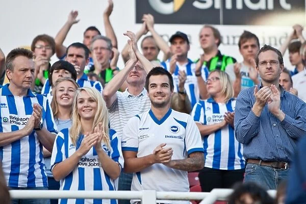 Sea of Supporters: Brighton and Hove Albion Away Games 2012-2013