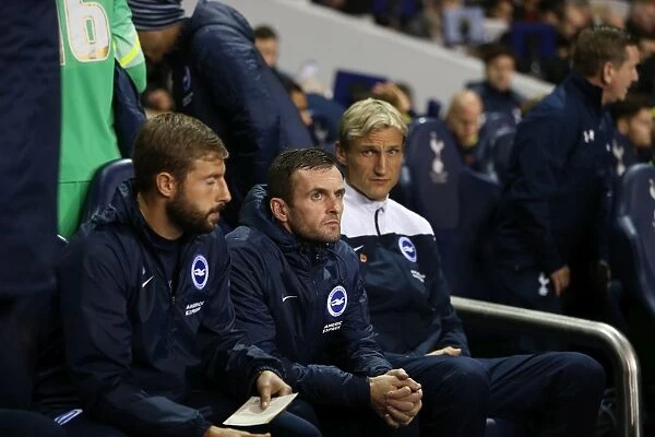 Tottenham vs. Brighton: A Battle in the Capital One Cup (29th October 2014)