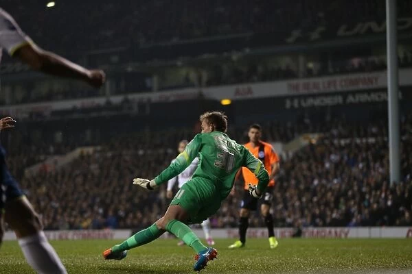 Tottenham vs. Brighton: A Battle in the Capital One Cup, 29th October 2014