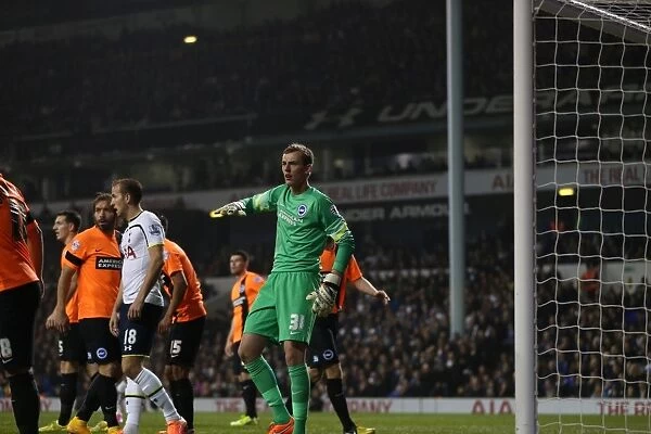 Tottenham vs. Brighton: A Battle in the Capital One Cup (29Oct14)