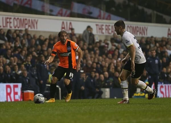 Tottenham vs. Brighton: A Battle in the Capital One Cup, 29th October 2014