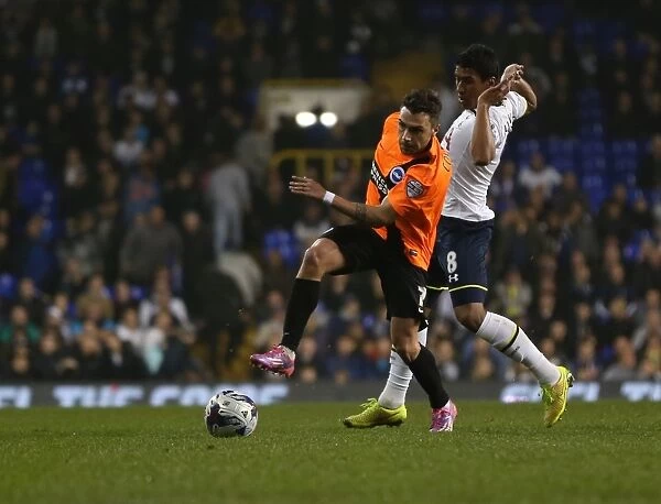 Tottenham vs. Brighton: A Battle in the Capital One Cup, October 2014