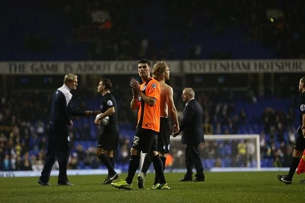 Tottenham vs. Brighton: A Battle in the Capital One Cup, October 2014