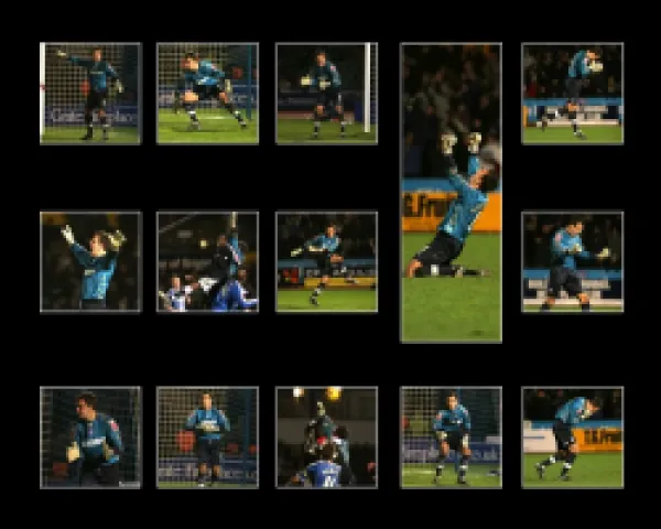 Buy Wayne Henderson Montage