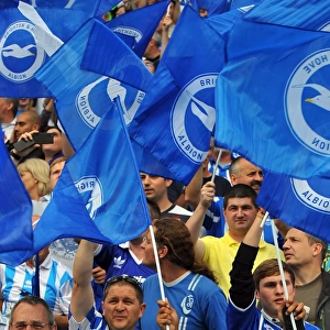 Brighton & Hove Albion 2011-12 Home Games: Spurs and Doncaster