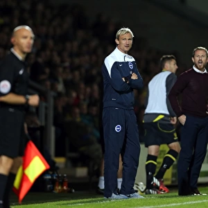 Brighton & Hove Albion at Burton Albion (2014-15 Season): Away Game