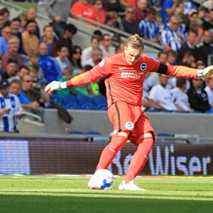 Brighton & Hove Albion: David Stockdale in Action against Hull City (Sky Bet Championship 2015)