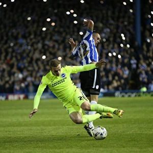 Brighton and Hove Albion Face Sheffield Wednesday in Championship Play-Off Showdown (May 2016)