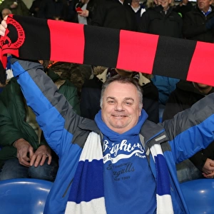 2014-15 Away Games Photographic Print Collection: Cardiff City 10FEB15