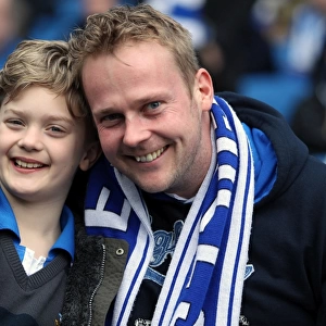 Brighton & Hove Albion FC: Electric Atmosphere at The Amex - Crowd Shots (2012-2013)