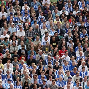 Brighton & Hove Albion FC: South Stand Roar at Walsall (28th August 2010)