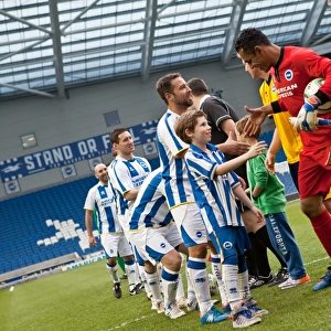 Brighton & Hove Albion: Game 5 - The Thrilling Pitch Battle (21st May 2014)