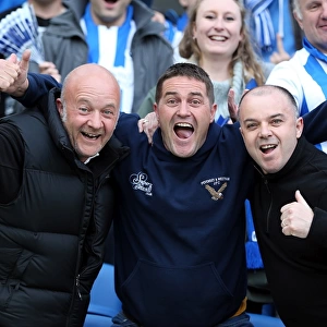 Brighton & Hove Albion: Intense Moments of Seaside Passion at the Amex (2012-2013)