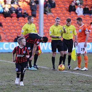 Brighton and Hove Albion Mascot in Action: Sky Bet Championship Match at Blackpool's Bloomfield Road (31Jan15)