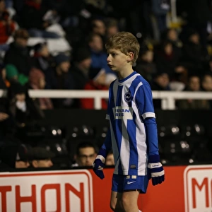 Brighton and Hove Albion Mascot at Fulham's Craven Cottage during Sky Bet Championship Match (29DEC14)