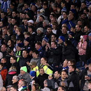 Brighton & Hove Albion: Nostalgic Review of the 2012-13 Home Game Against Watford (December 29, 2012)