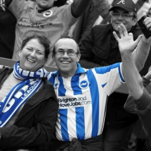 Brighton And Hove Albion Season 2013-14: 2013-14 Away Games: Yeovil Town 19-10-2013