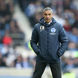 Brighton and Hove Albion v Wolverhampton Wanderers