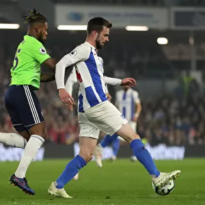 Brighton and Hove Albion vs. Cardiff City: Premier League Showdown at American Express Community Stadium (April 16, 2019)