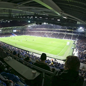 Brighton and Hove Albion vs. Crystal Palace: A Premier League Showdown at American Express Community Stadium (November 2017)