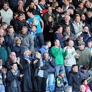 Brighton & Hove Albion vs. Huddersfield Town (Away Game - 17-11-2012, 2012-13 Season)
