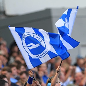 Brighton and Hove Albion vs Hull City: Fans Passionate Showdown in the Sky Bet Championship (12th September 2015)