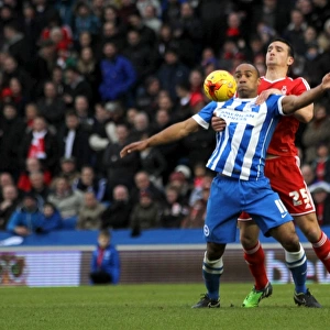 Brighton & Hove Albion vs. Nottingham Forest: A Home Battle from the 2014-15 Season (07FEB15)