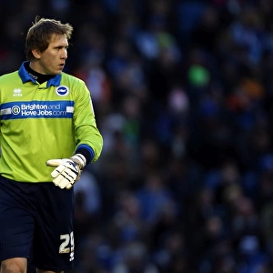 Brighton & Hove Albion vs. Nottingham Forest (15-12-2012): A Look Back at the 2012-13 Home Season Game