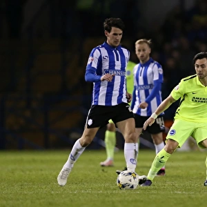 Brighton and Hove Albion vs. Sheffield Wednesday: Championship Play-Off Clash at Hillsborough (May 2016)