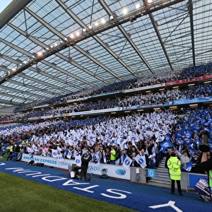 Brighton and Hove Albion vs Sheffield Wednesday: Championship Play-Off Showdown at American Express Community Stadium (16 May 2016)